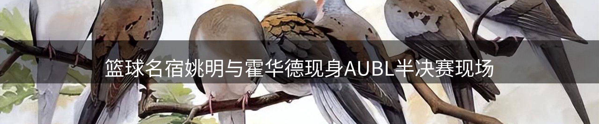 内页banner