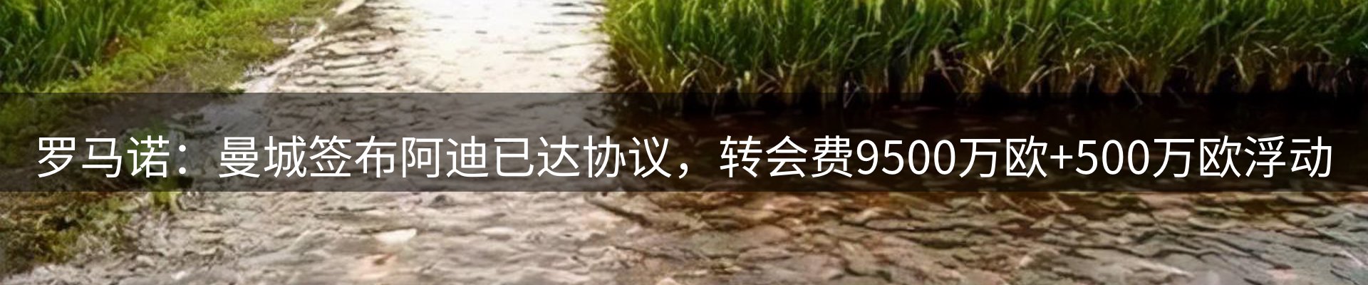 内页banner
