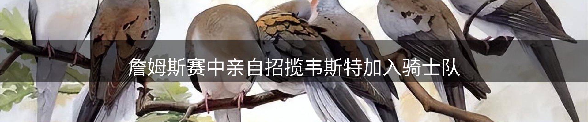 内页banner